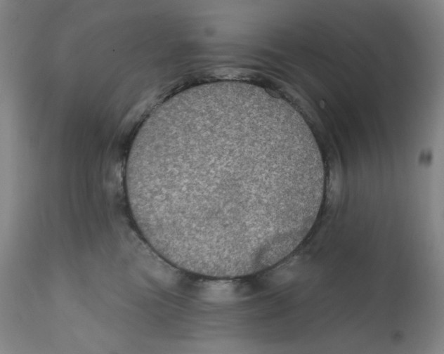 X0000112020473200908241519