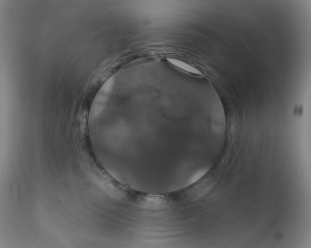 X0000112020475200908241519