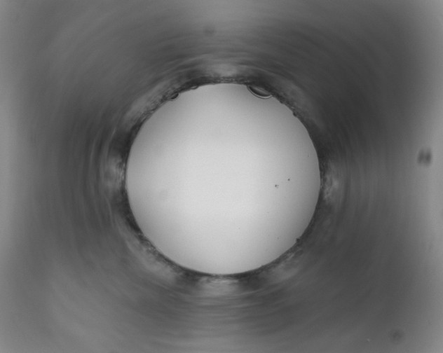 X0000112020476200908241519