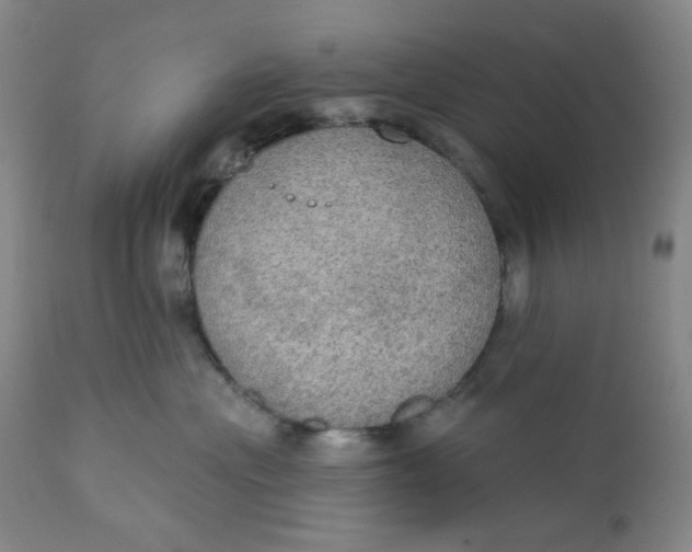 X0000112020477200908241519