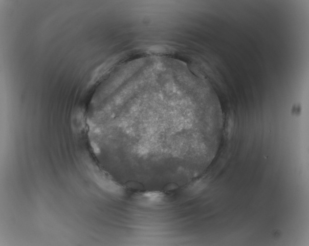 X0000112020478200908241519