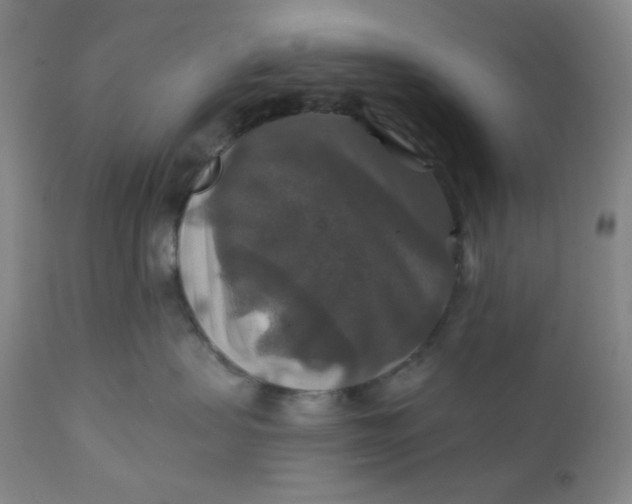 X0000112020479200908241519