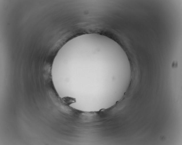 X0000112020480200908241519