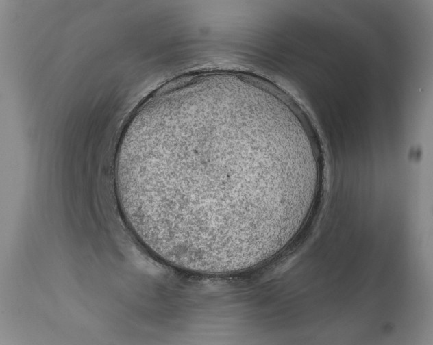 X0000112020481200908241518