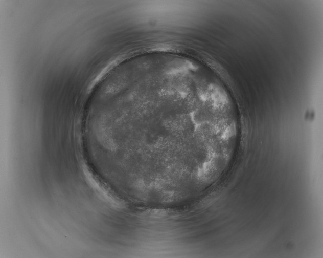 X0000112020482200908241518