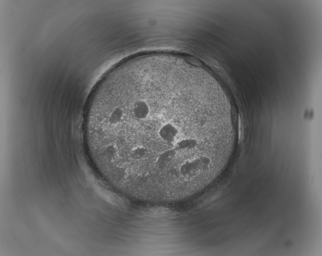 X0000112020483200908241518