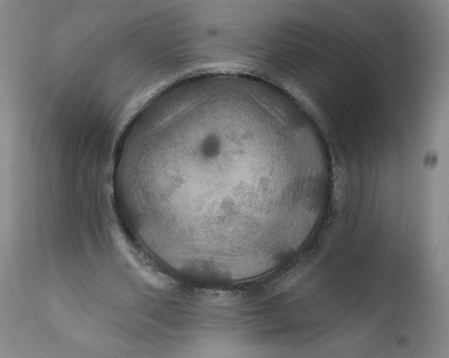 X0000112020486200908241518