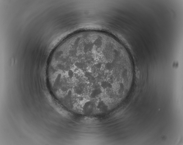 X0000112020487200908241518