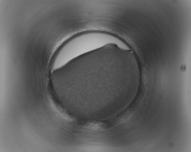 X0000112020488200908241518