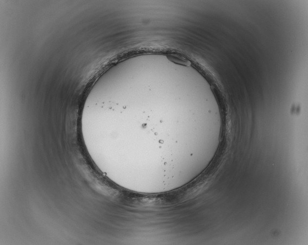 X0000112020493200908241518