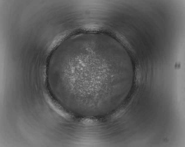 X0000112020494200908241518