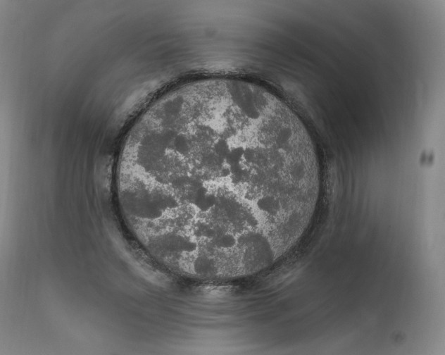 X0000112020495200908241518