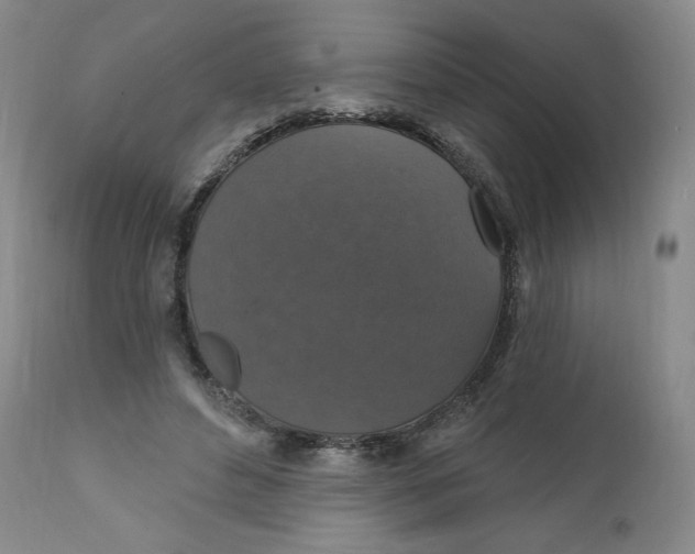 X0000112020496200908241518