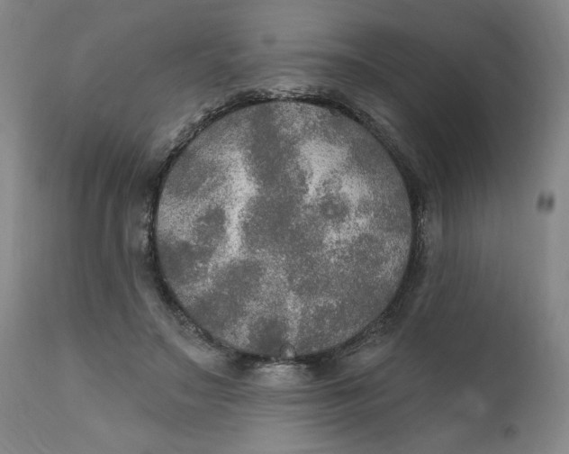 X0000112020499200908241518