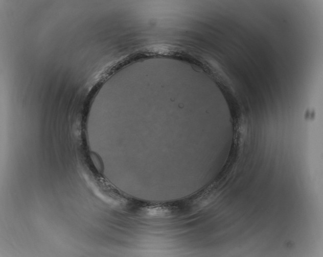 X0000112020500200908241518