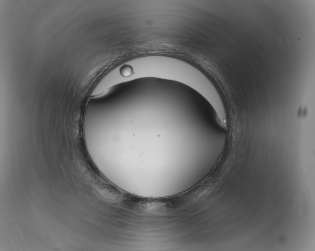 X0000112020501200908241518