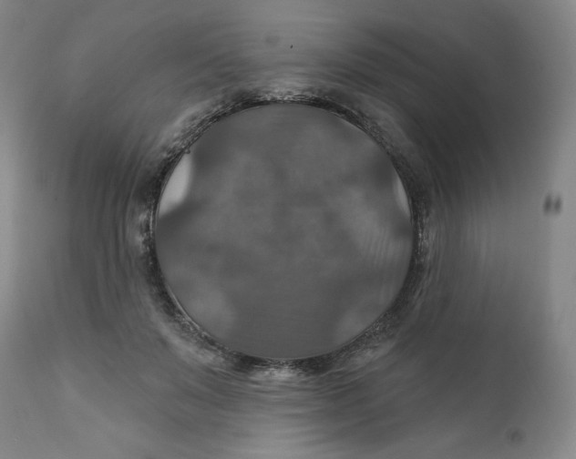 X0000112020503200908241518