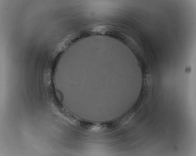 X0000112020504200908241518