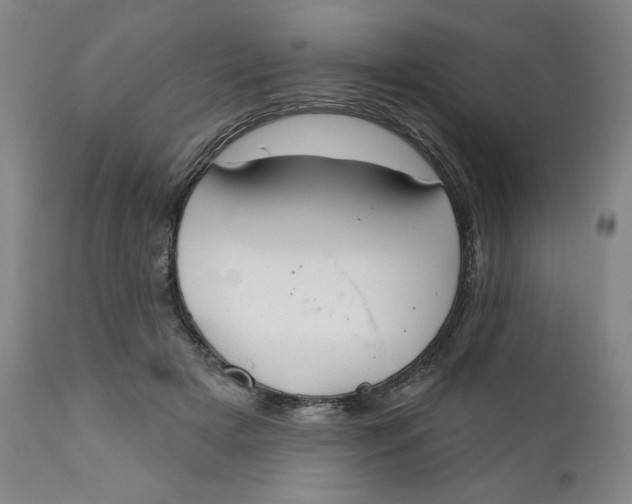 X0000112020505200908241518