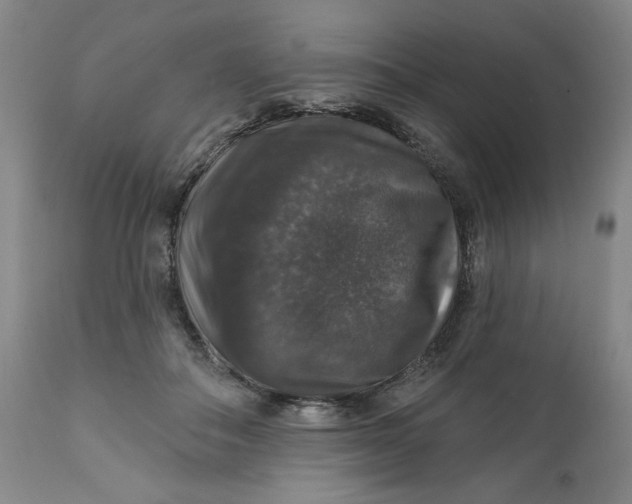 X0000112020506200908241518