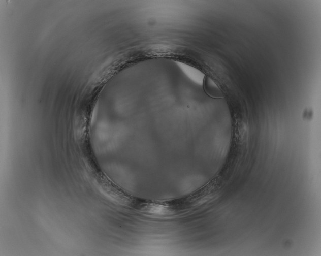 X0000112020507200908241518