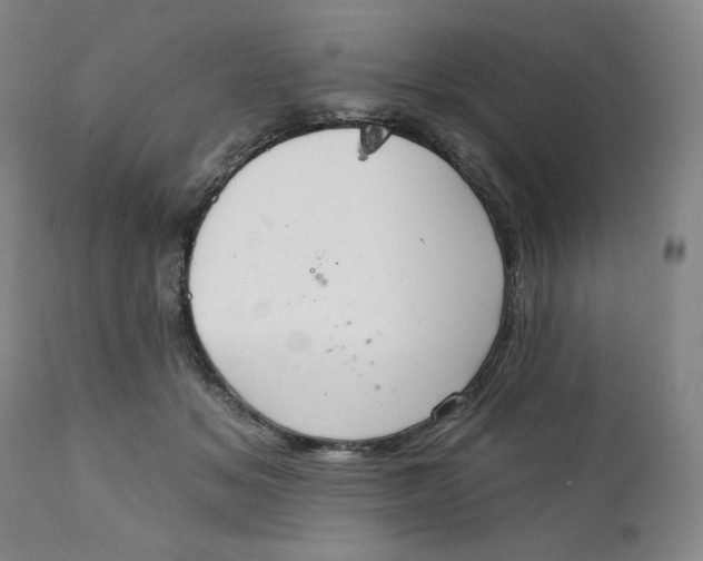 X0000112020509200908241518