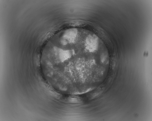 X0000112020510200908241518