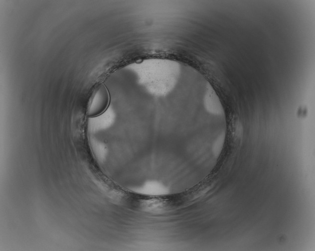 X0000112020511200908241518