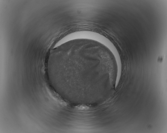 X0000112020512200908241518