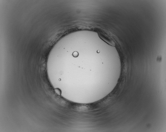 X0000112020513200908241518