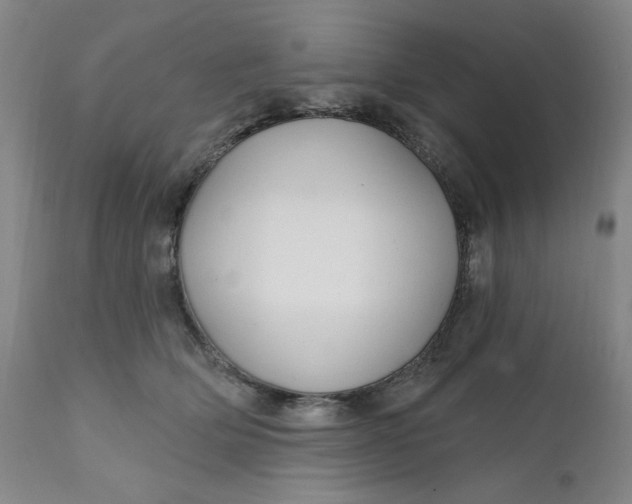 X0000112020514200908241517