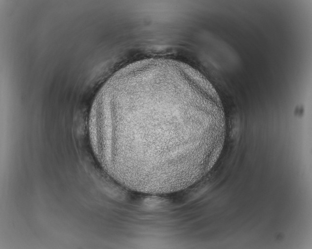 X0000112020515200908241517