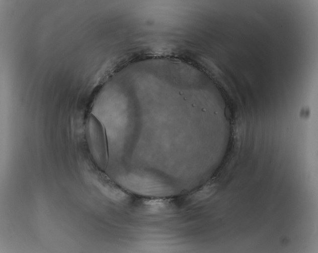 X0000112020516200908241517