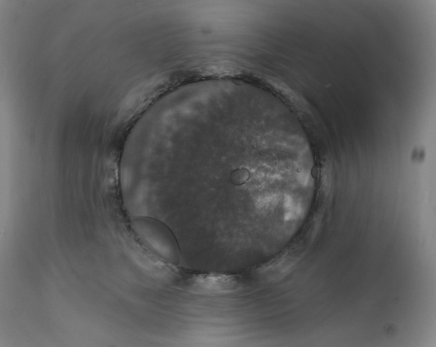 X0000112020517200908241517