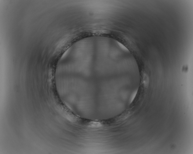 X0000112020519200908241517