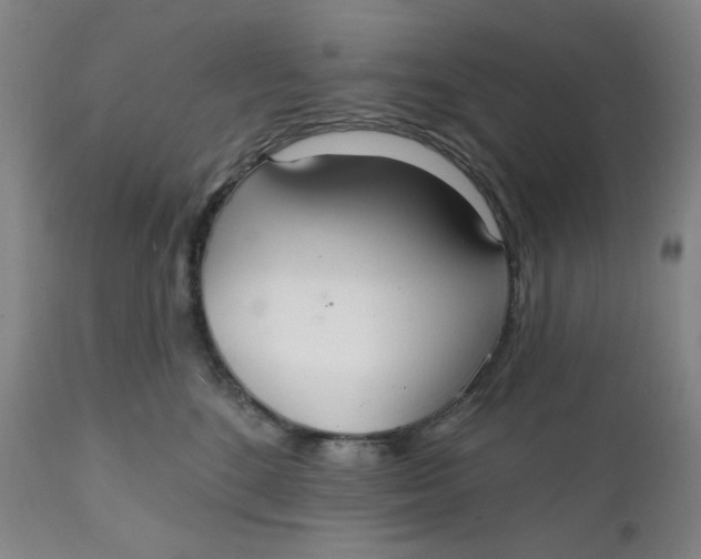 X0000112020520200908241517