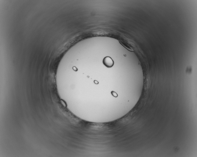 X0000112020521200908241517