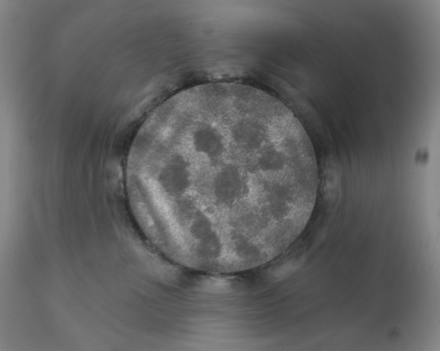 X0000112020523200908241517