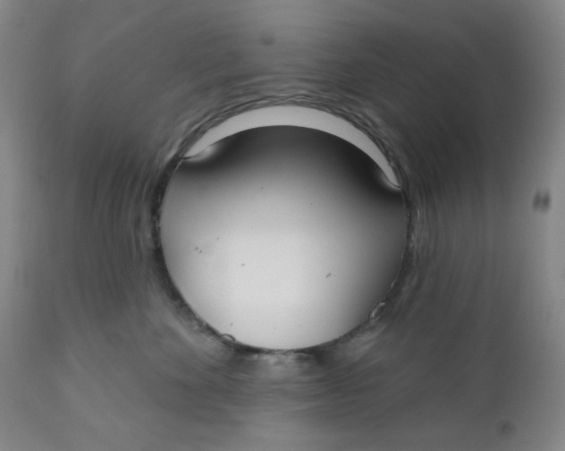 X0000112020524200908241517