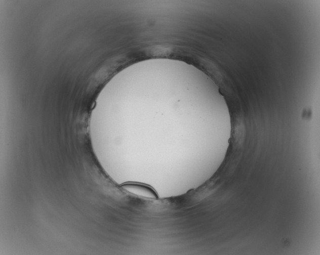 X0000112020525200908241517