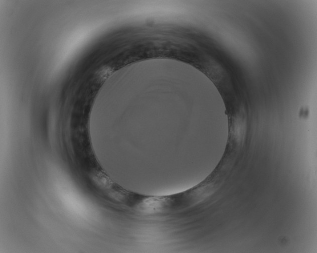 X0000112020526200908241517