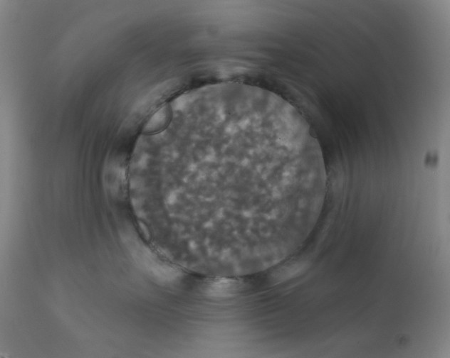 X0000112020527200908241517