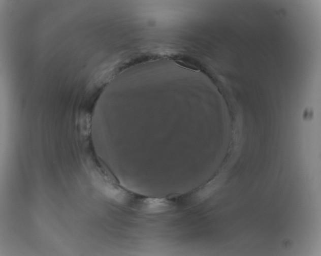 X0000112020528200908241517