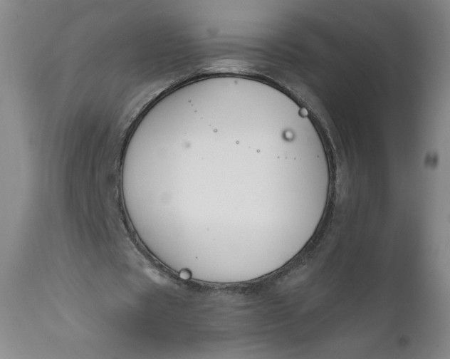 X0000112020529200908241517