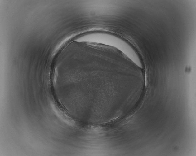 X0000112020531200908241517