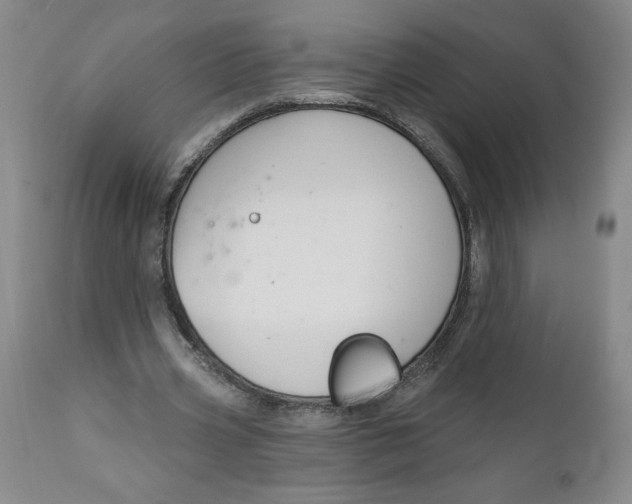 X0000112020533200908241517