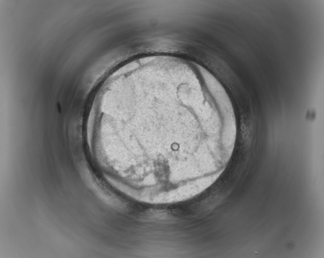 X0000112020534200908241517