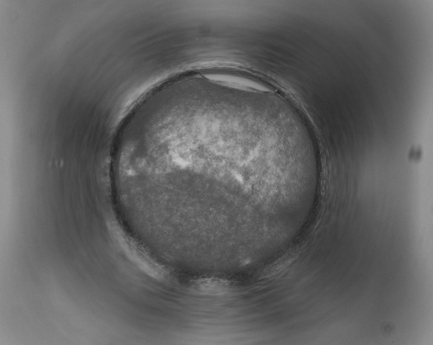 X0000112020535200908241517