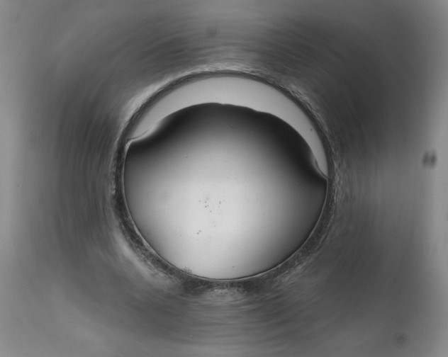 X0000112020536200908241517