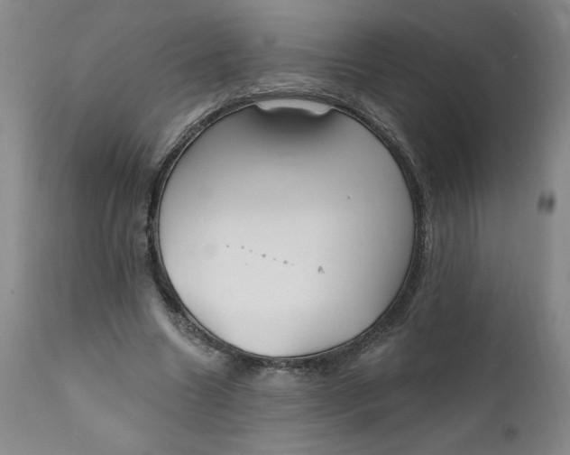 X0000112020538200908241517